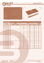 DataSheet BIV15B-4815SR pdf